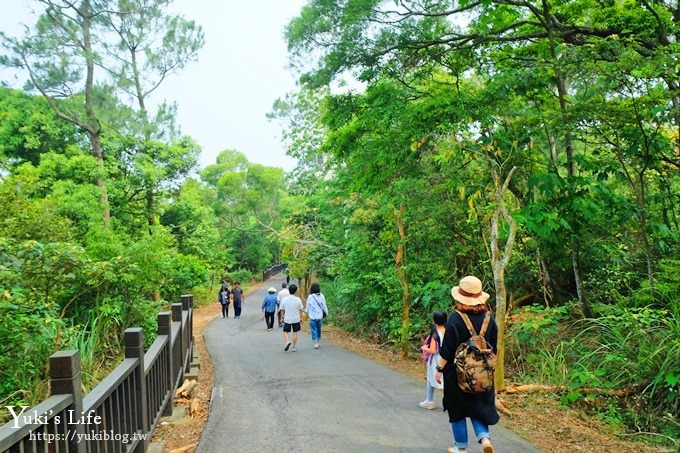 苗栗景點【九華山天空步道】銅鑼油桐花景點×親子旅遊一日遊行程規劃 - yuki.tw