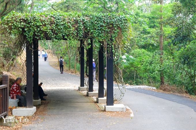 苗栗景點【九華山天空步道】銅鑼油桐花景點×親子旅遊一日遊行程規劃 - yuki.tw