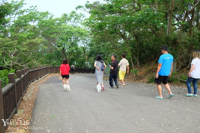 苗栗景點【九華山天空步道】銅鑼油桐花景點×親子旅遊一日遊行程規劃 - yuki.tw