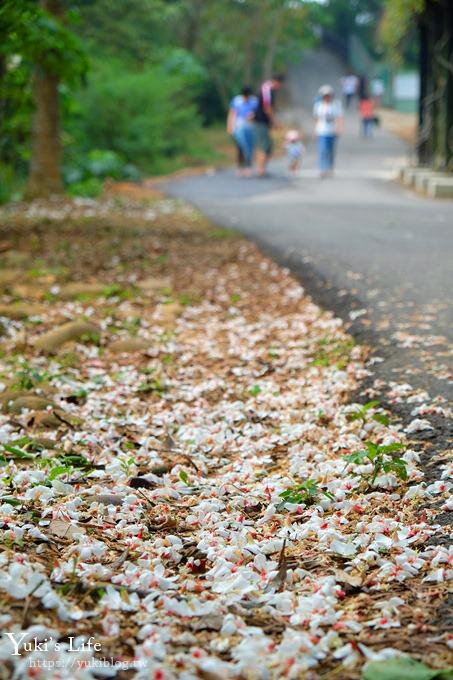 苗栗景點【九華山天空步道】銅鑼油桐花景點×親子旅遊一日遊行程規劃 - yuki.tw