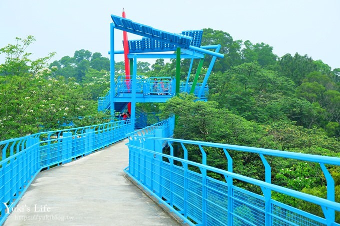 苗栗景點【九華山天空步道】銅鑼油桐花景點×親子旅遊一日遊行程規劃 - yuki.tw