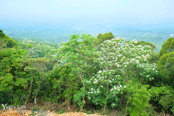 苗栗景點【九華山天空步道】銅鑼油桐花景點×親子旅遊一日遊行程規劃 - yuki.tw