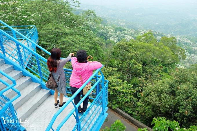 苗栗景點【九華山天空步道】銅鑼油桐花景點×親子旅遊一日遊行程規劃 - yuki.tw