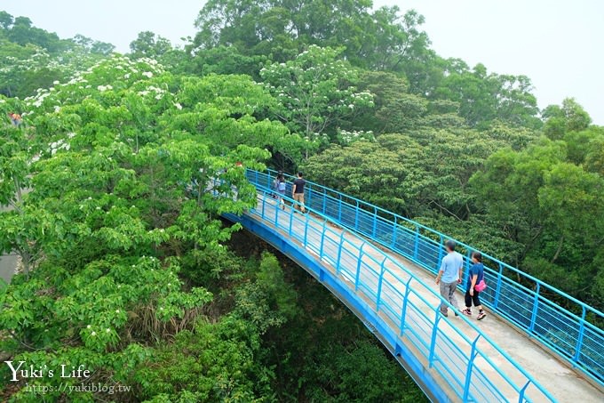 苗栗景點【九華山天空步道】銅鑼油桐花景點×親子旅遊一日遊行程規劃 - yuki.tw