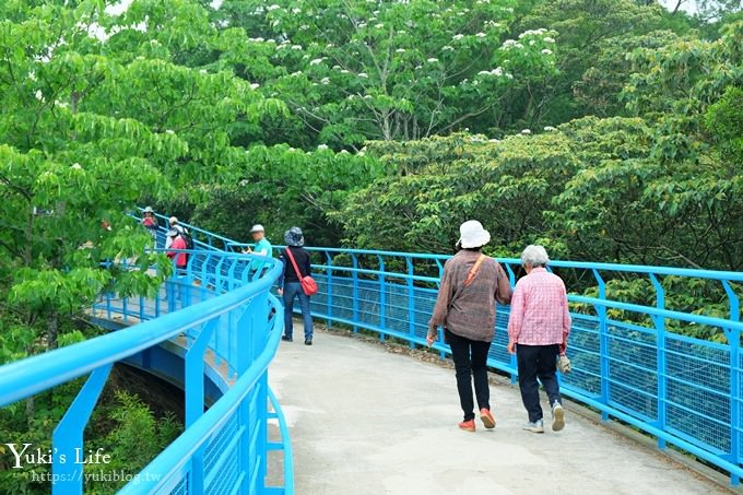 苗栗景點【九華山天空步道】銅鑼油桐花景點×親子旅遊一日遊行程規劃 - yuki.tw