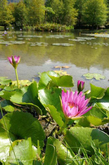 苗栗景點【雲水度假森林】南庄親子景點 落羽松秘境×野餐拍照泡湯好去處！ - yuki.tw