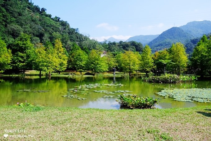 苗栗景點【雲水度假森林】南庄親子景點 落羽松秘境×野餐拍照泡湯好去處！ - yuki.tw