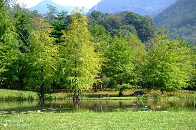 苗栗景點【雲水度假森林】南庄親子景點 落羽松秘境×野餐拍照泡湯好去處！ - yuki.tw