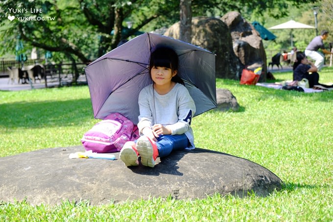 苗栗景點【雲水度假森林】南庄親子景點 落羽松秘境×野餐拍照泡湯好去處！ - yuki.tw