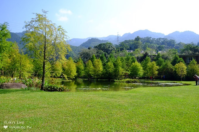 苗栗景點【雲水度假森林】南庄親子景點 落羽松秘境×野餐拍照泡湯好去處！ - yuki.tw