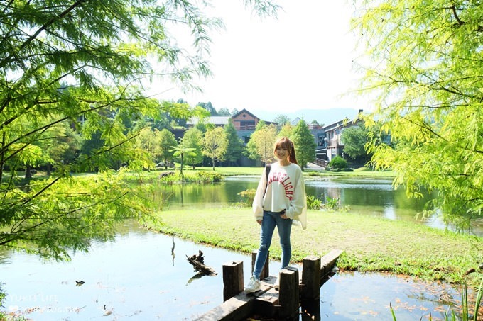 苗栗景點【雲水度假森林】南庄親子景點 落羽松秘境×野餐拍照泡湯好去處！ - yuki.tw