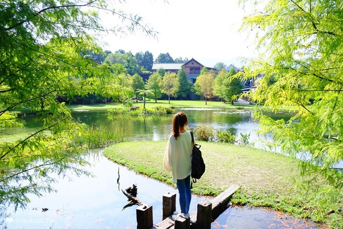 苗栗景點【雲水度假森林】南庄親子景點 落羽松秘境×野餐拍照泡湯好去處！ - yuki.tw