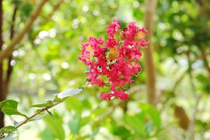 桃園大溪免費親子景點【好時節農莊】熱門窯烤披薩DIY×梅花鹿、小兔子、鵝、公雞的農村日常 - yuki.tw