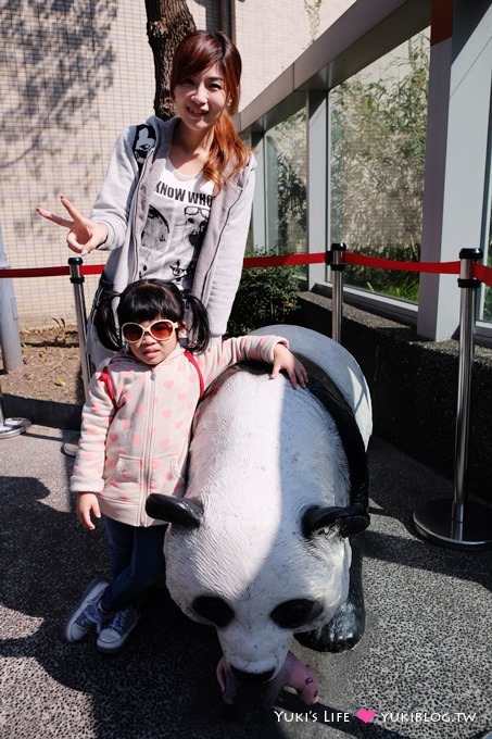 台北遊記【木柵動物園貓纜一日遊】圓仔+動物園內站免排隊攻略+Hello Kitty貓空纜車+貓空美食 - yuki.tw