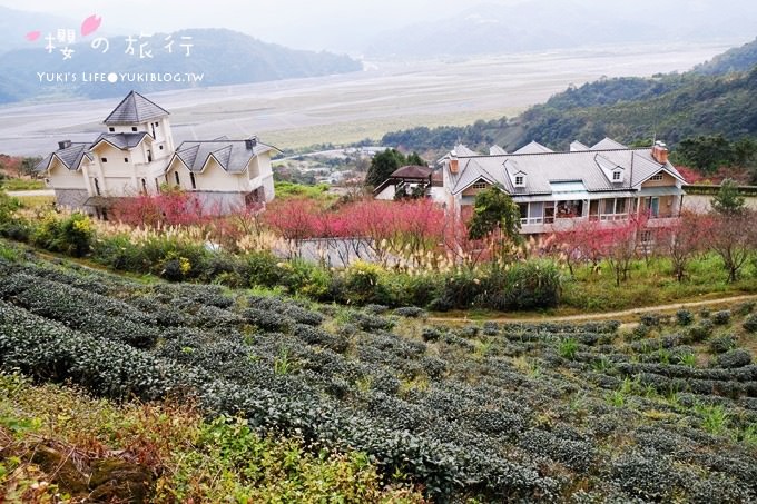 宜蘭秘境賞櫻景點【玉蘭茶園】茶園裡賞櫻花.野餐露營都方便 - yuki.tw