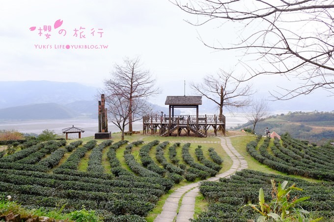 宜蘭秘境賞櫻景點【玉蘭茶園】茶園裡賞櫻花.野餐露營都方便 - yuki.tw