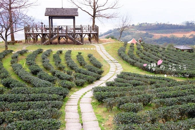 宜蘭秘境賞櫻景點【玉蘭茶園】茶園裡賞櫻花.野餐露營都方便 - yuki.tw