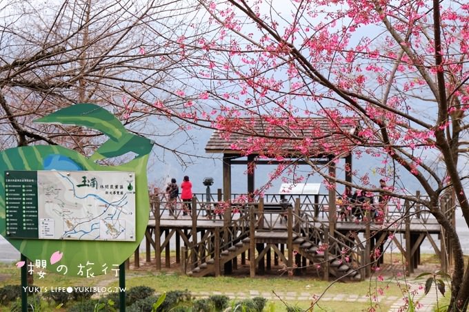 宜蘭秘境賞櫻景點【玉蘭茶園】茶園裡賞櫻花.野餐露營都方便 - yuki.tw