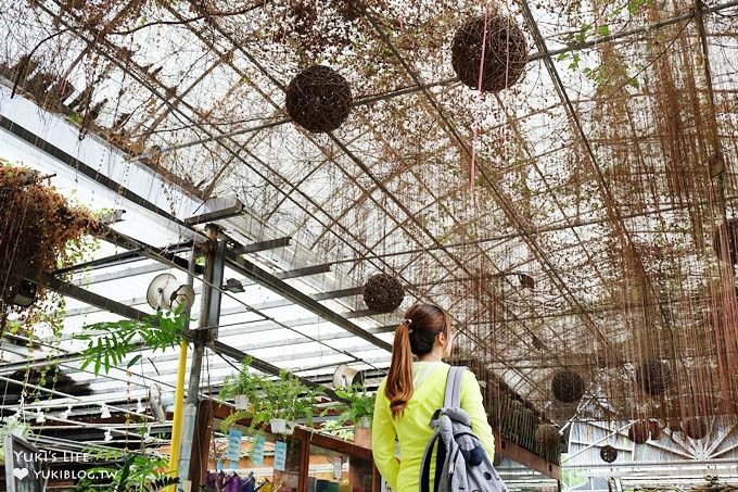 免門票親子景點【台北花卉村】胖胖熊氣墊樂園好FUN電×花草盆栽×馬賽克DIY×家人聚餐好去處(彭師傅料理) - yuki.tw