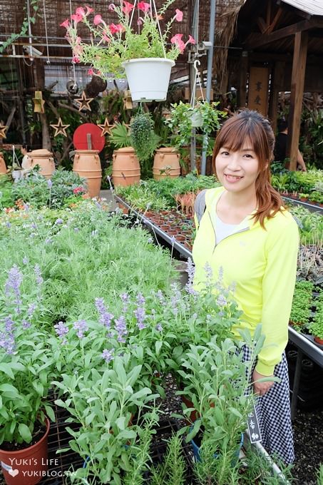 免門票親子景點【台北花卉村】胖胖熊氣墊樂園好FUN電×花草盆栽×馬賽克DIY×家人聚餐好去處(彭師傅料理) - yuki.tw