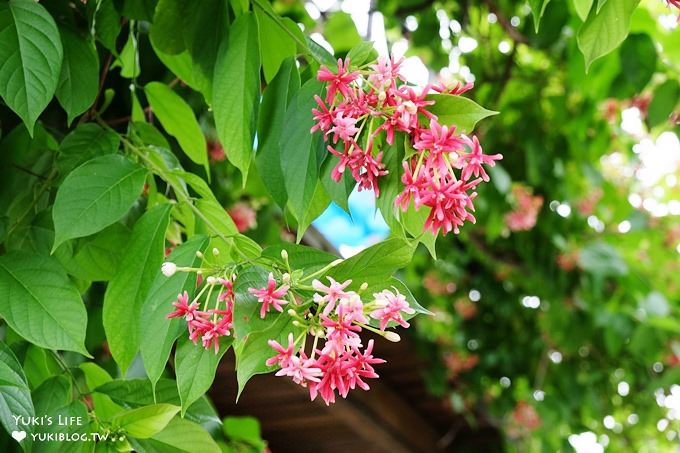 免門票親子景點【台北花卉村】胖胖熊氣墊樂園好FUN電×花草盆栽×馬賽克DIY×家人聚餐好去處(彭師傅料理) - yuki.tw