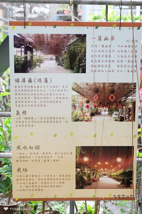 免門票親子景點【台北花卉村】胖胖熊氣墊樂園好FUN電×花草盆栽×馬賽克DIY×家人聚餐好去處(彭師傅料理) - yuki.tw