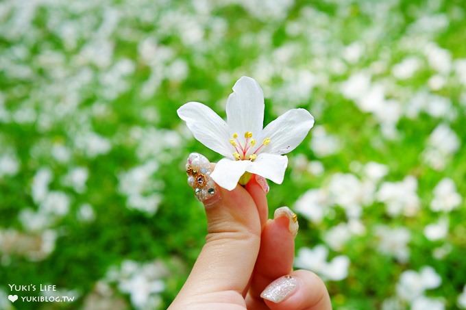 光療指甲推薦【板橋花季美甲美睫(花季專業美學)】愛漂亮風格美甲札記×最新五款全記錄@府中站 - yuki.tw