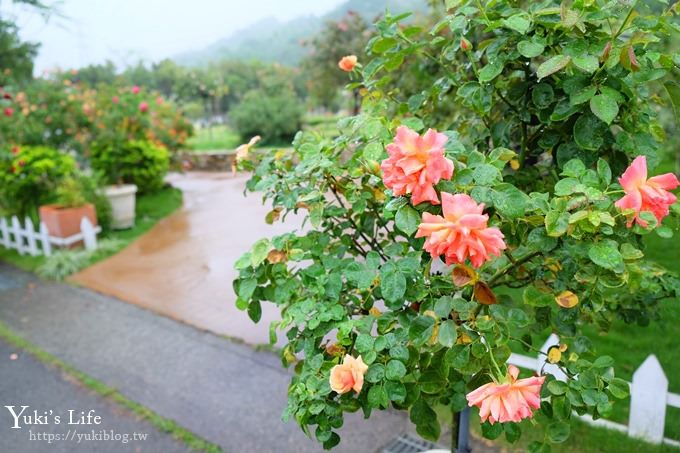 雲林古坑景點【NICE蘿莎玫瑰山莊】免費超美玫瑰花園、拍照約會景點、香氛洗沐產品送禮好物！ - yuki.tw