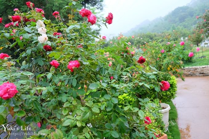 雲林古坑景點【NICE蘿莎玫瑰山莊】免費超美玫瑰花園、拍照約會景點、香氛洗沐產品送禮好物！ - yuki.tw