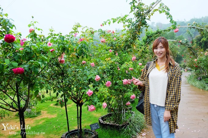 雲林古坑景點【NICE蘿莎玫瑰山莊】免費超美玫瑰花園、拍照約會景點、香氛洗沐產品送禮好物！ - yuki.tw