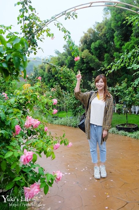 雲林古坑景點【NICE蘿莎玫瑰山莊】免費超美玫瑰花園、拍照約會景點、香氛洗沐產品送禮好物！ - yuki.tw