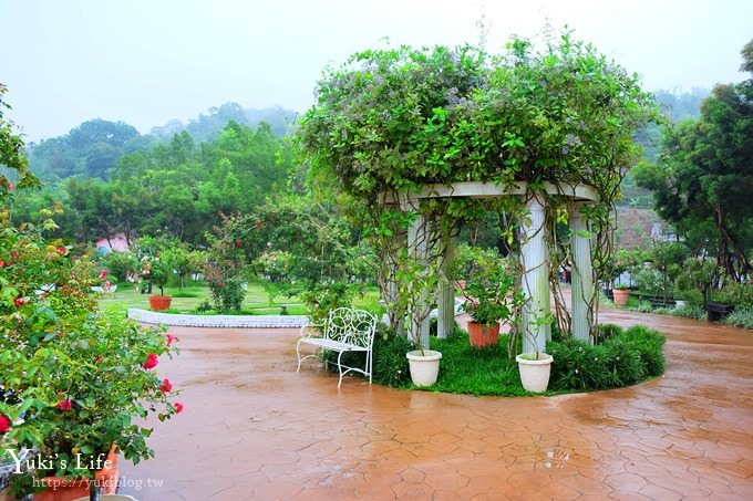 雲林古坑景點【NICE蘿莎玫瑰山莊】免費超美玫瑰花園、拍照約會景點、香氛洗沐產品送禮好物！ - yuki.tw