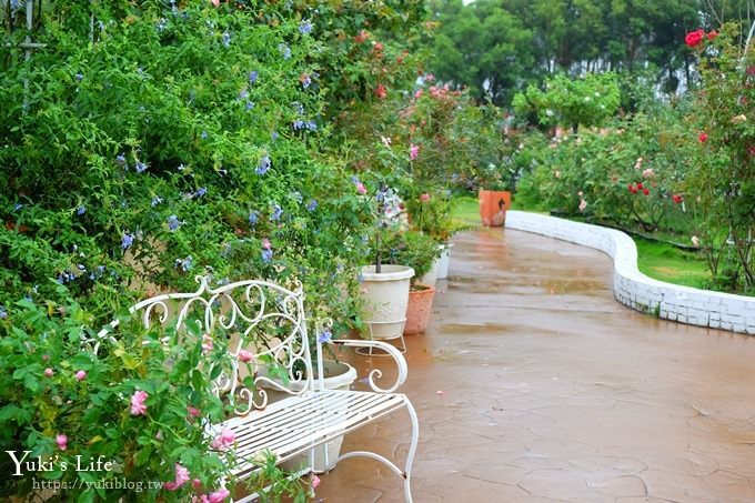 雲林古坑景點【NICE蘿莎玫瑰山莊】免費超美玫瑰花園、拍照約會景點、香氛洗沐產品送禮好物！ - yuki.tw