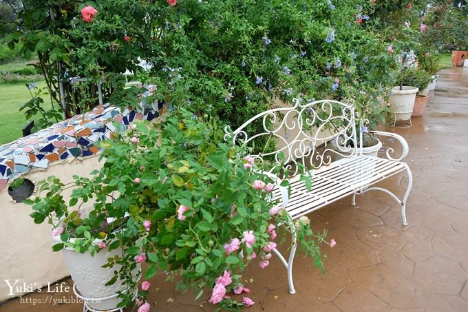 雲林古坑景點【NICE蘿莎玫瑰山莊】免費超美玫瑰花園、拍照約會景點、香氛洗沐產品送禮好物！ - yuki.tw