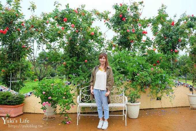 雲林古坑景點【NICE蘿莎玫瑰山莊】免費超美玫瑰花園、拍照約會景點、香氛洗沐產品送禮好物！ - yuki.tw