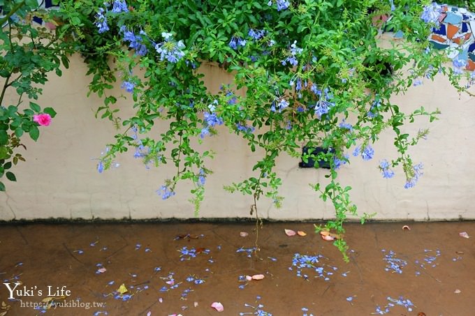 雲林古坑景點【NICE蘿莎玫瑰山莊】免費超美玫瑰花園、拍照約會景點、香氛洗沐產品送禮好物！ - yuki.tw