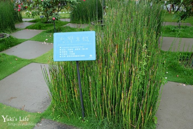 雲林古坑景點【NICE蘿莎玫瑰山莊】免費超美玫瑰花園、拍照約會景點、香氛洗沐產品送禮好物！ - yuki.tw