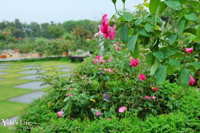 雲林古坑景點【NICE蘿莎玫瑰山莊】免費超美玫瑰花園、拍照約會景點、香氛洗沐產品送禮好物！ - yuki.tw