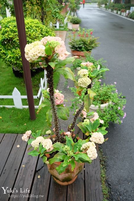 雲林古坑景點【NICE蘿莎玫瑰山莊】免費超美玫瑰花園、拍照約會景點、香氛洗沐產品送禮好物！ - yuki.tw