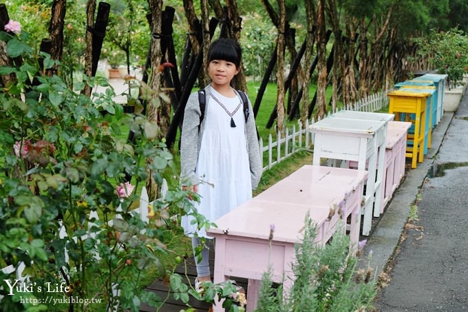 雲林古坑景點【NICE蘿莎玫瑰山莊】免費超美玫瑰花園、拍照約會景點、香氛洗沐產品送禮好物！ - yuki.tw