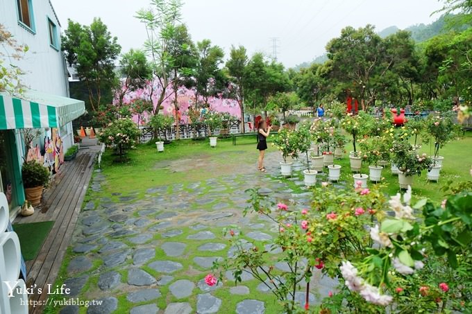 雲林古坑景點【NICE蘿莎玫瑰山莊】免費超美玫瑰花園、拍照約會景點、香氛洗沐產品送禮好物！ - yuki.tw