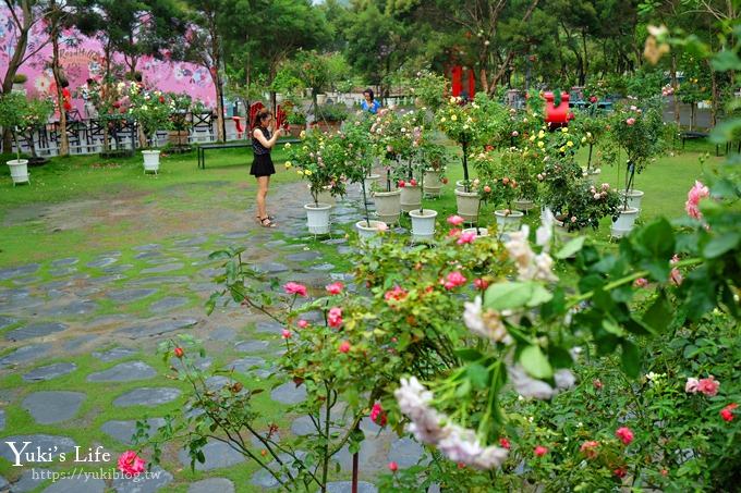 雲林古坑景點【NICE蘿莎玫瑰山莊】免費超美玫瑰花園、拍照約會景點、香氛洗沐產品送禮好物！ - yuki.tw