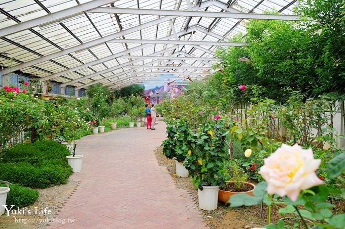 雲林古坑景點【NICE蘿莎玫瑰山莊】免費超美玫瑰花園、拍照約會景點、香氛洗沐產品送禮好物！ - yuki.tw