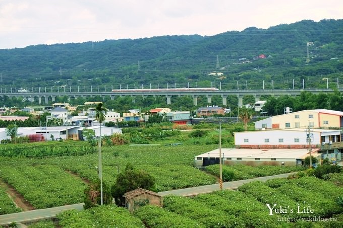 彰化景點免門票【台灣手套博物館】手套配件DIY、玩沙、賞高鐵下午茶，拍照好去處 - yuki.tw