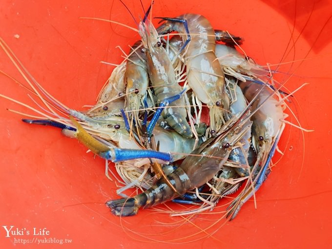 宜蘭親子景點【蘭楊蟹莊×蘭楊船菜】釣無毒泰國蝦、DIY烤蝦、保證蝦量!好吃好玩生態之旅 - yuki.tw