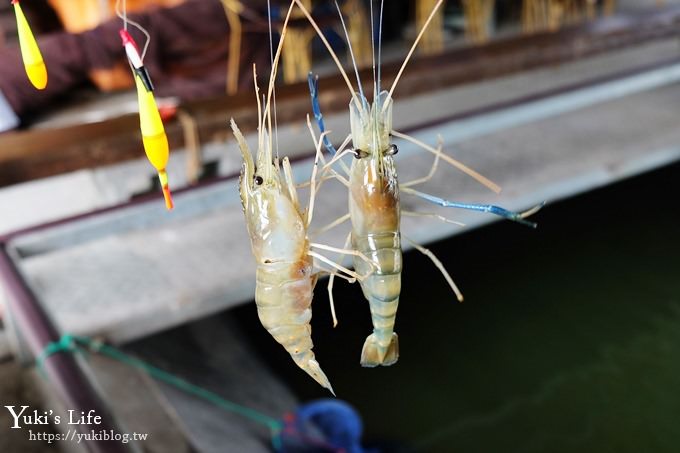 宜蘭親子景點【蘭楊蟹莊×蘭楊船菜】釣無毒泰國蝦、DIY烤蝦、保證蝦量!好吃好玩生態之旅 - yuki.tw