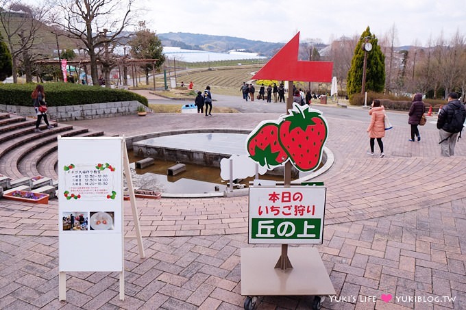 大阪旅遊【富田林市農業公園Savor Farm】採草莓.看花海.燒烤BBQ的親子行程 - yuki.tw