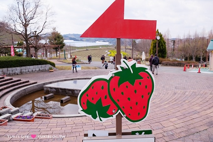 大阪旅遊【富田林市農業公園Savor Farm】採草莓.看花海.燒烤BBQ的親子行程 - yuki.tw