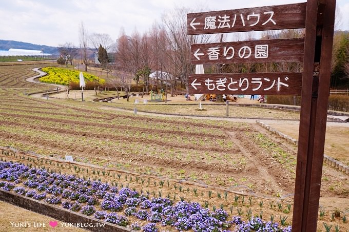 大阪旅遊【富田林市農業公園Savor Farm】採草莓.看花海.燒烤BBQ的親子行程 - yuki.tw