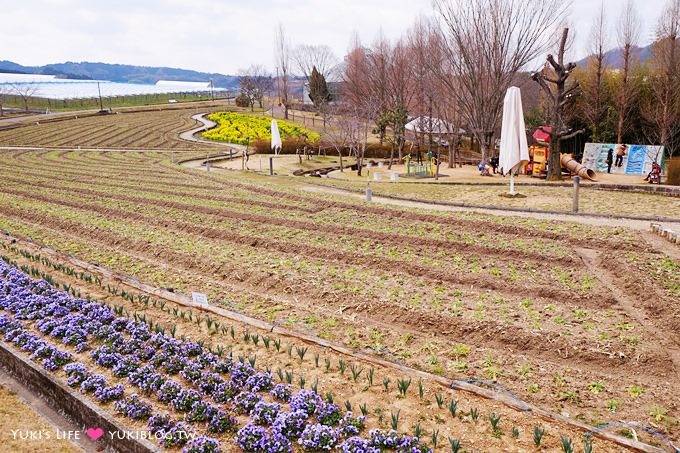 大阪旅遊【富田林市農業公園Savor Farm】採草莓.看花海.燒烤BBQ的親子行程 - yuki.tw